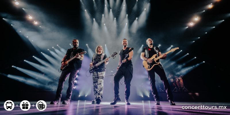 Elefante, 12 de noviembre